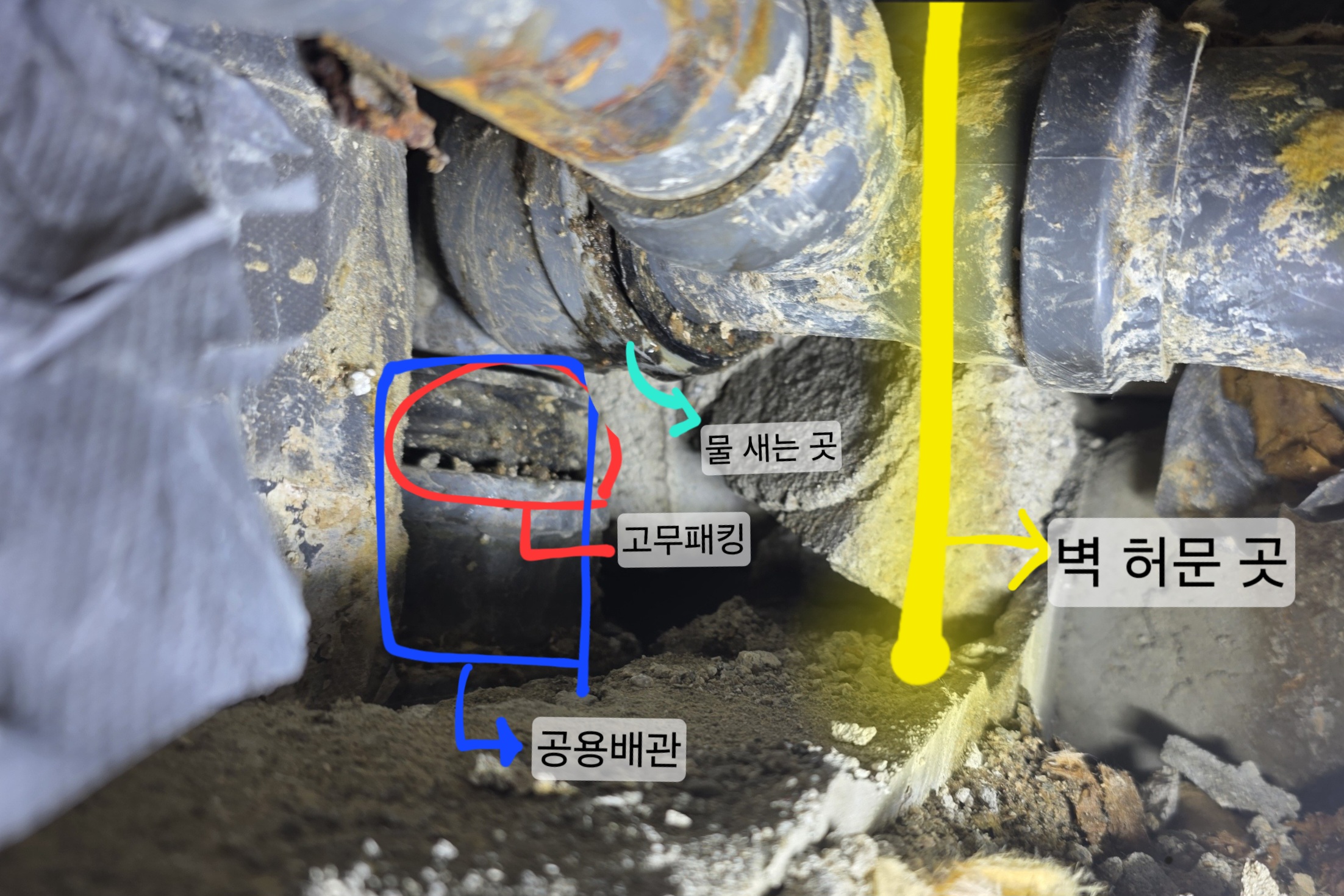 KakaoTalk_20260205_183315094.jpg