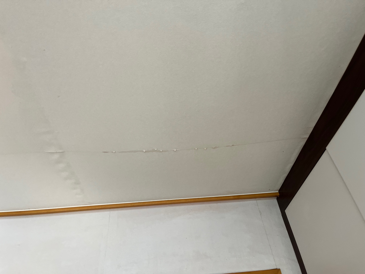 KakaoTalk_20250217_205215889_07.jpg